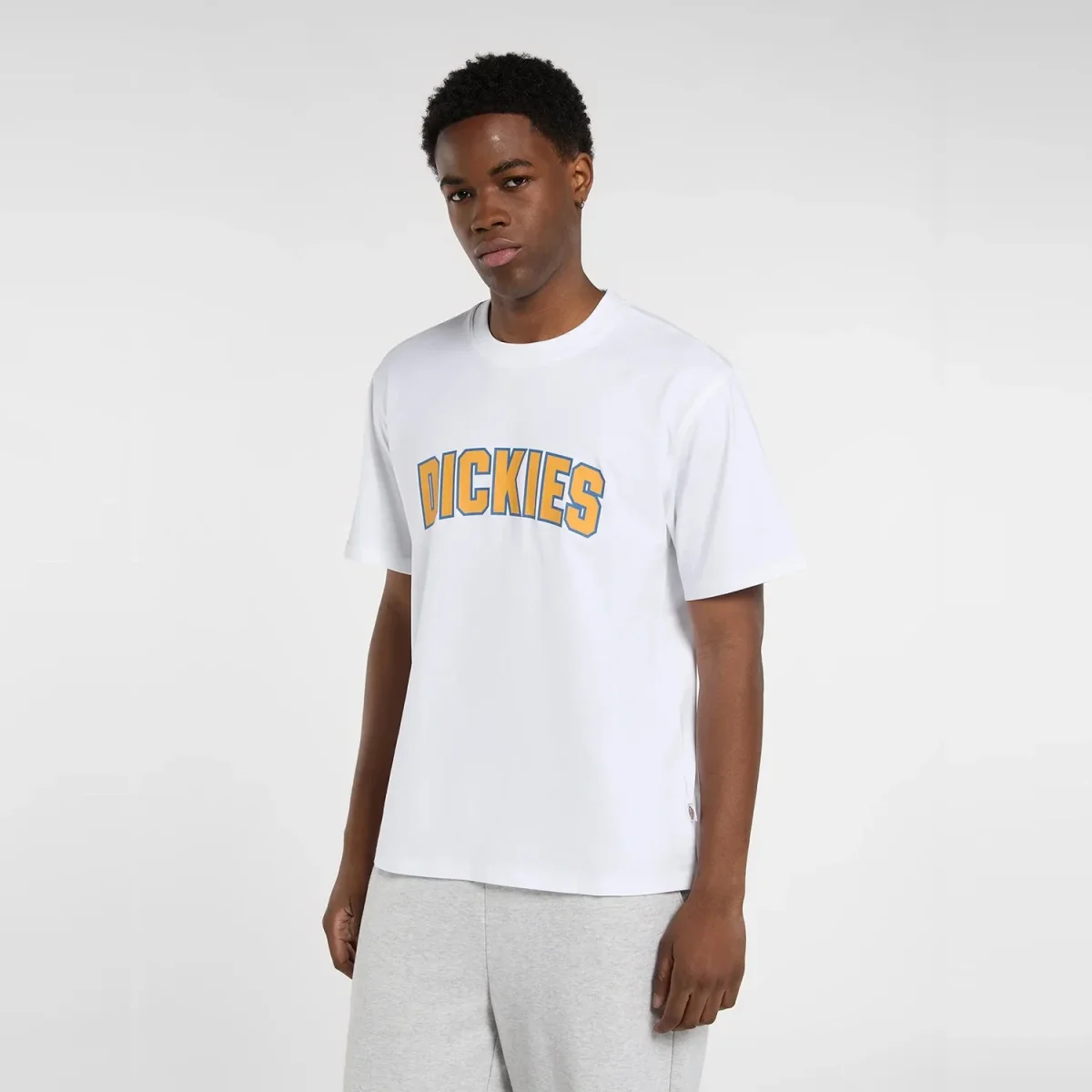 Dickies Aitkin T-Shirt - Image 2