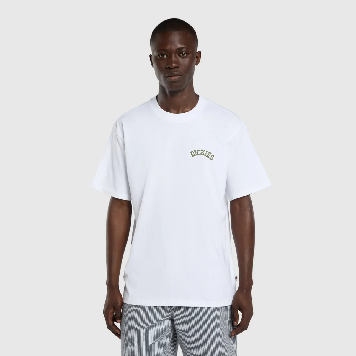 Dickies Bettsville T-Shirt - Image 4