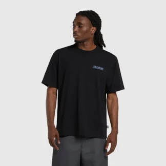 Dickies Fairlawn T-Shirt